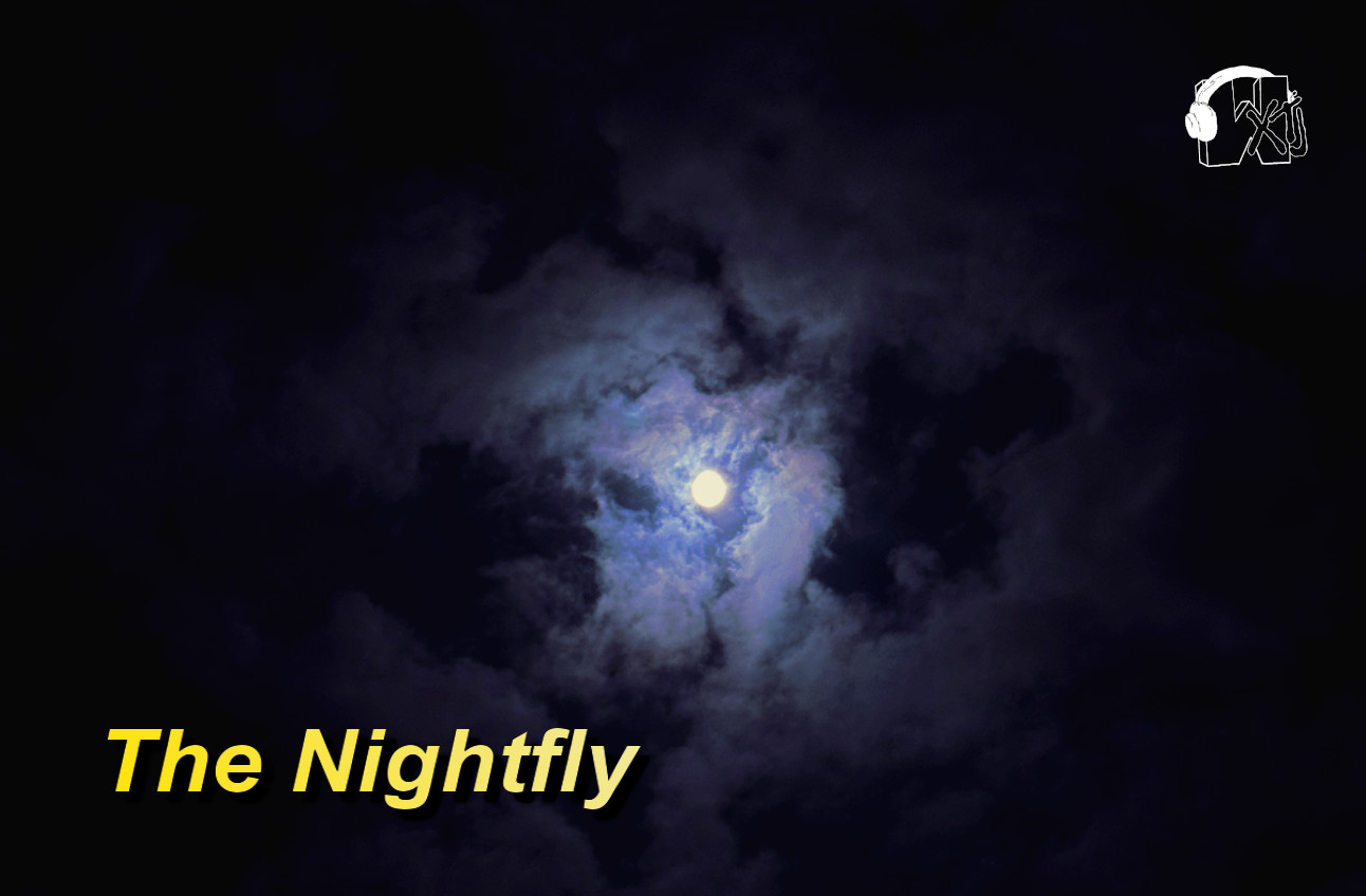 The Nightfly – Harrison Bontecou